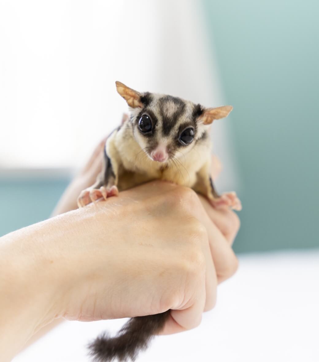 プライベート空間